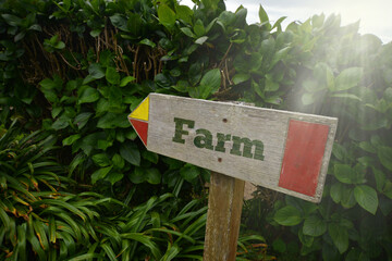 vintage old wooden signboard with text farm near the green plants.