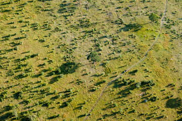 Aerial view to wild nature of Delta Okavango in Botswana.