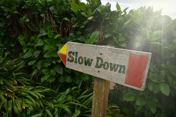 vintage old wooden signboard with text slow down near the green plants.