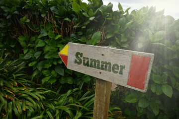 vintage old wooden signboard with text summer near the green plants.