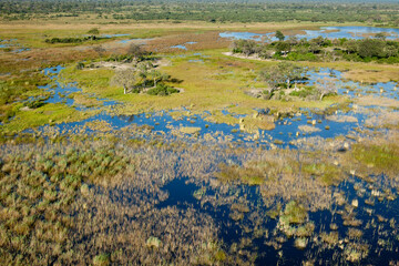 Aerial view to wild nature of Delta Okavango in Botswana.
