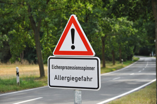 Stelle, Lower Saxony, Germany - August 17, 2020: German warning sign about the risk of allergies due to oak processionary moths - Eichenprozessionsspinner