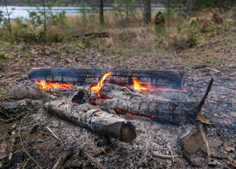 landscape with a burning campfire on the lake shore, glowing wooden logs and red fire flames