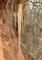 sandstone cliff. ice icicles at the sandstone cliff wall, Wild beach Baltic coast in December. Vidzeme rocky seashore