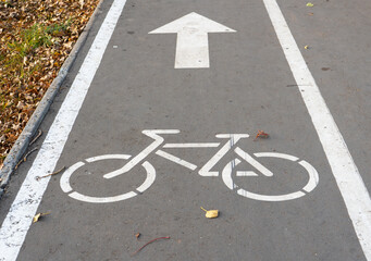 Fototapeta premium Bicycle path sign in the Park on the asphalt. Autumn