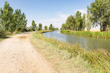 dirt road along the canal de Castilla, north Canal next to Fromista, province of Palencia, Castile...