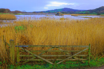 Seaton Wetlands Nature Reserve in Devon, UK