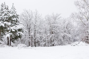 Snowy winter landscape with forest in the fog. Foggy winter morning. Winter landscape in the Czech Republic - Europe.