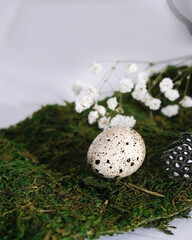 Easter. Quail egg close-up on a green decorative ribbon of moss on a table with a white tablecloth. A sprig of gypsophila and a small feather. The decor of the table setting Easter table