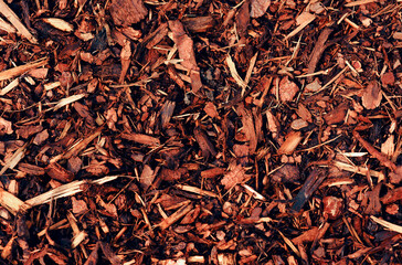 A pile of wood chips to be used as landscaping mulch - 404086093