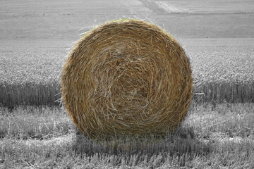 Strohballen - straw bales