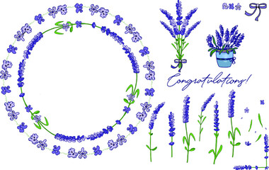 Lavender vector set. Wreaths with purple lavender, elements for design. Caption: Congratulations!