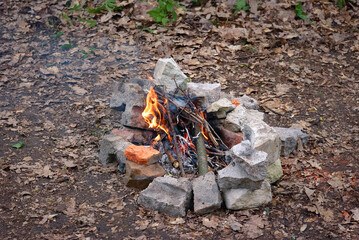 Forest bonfire, surrounded by stones