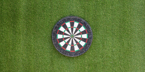 dart board on green grass