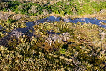 Aerial view to wild nature of Delta Okavango in Botswana.