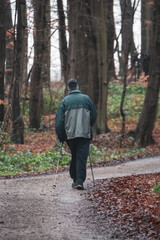 a man walks through the forest with nordic walking sticks