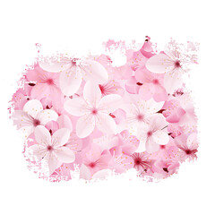 Sakura for Valentine's Day. Raster
