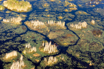Aerial view to wild nature of Delta Okavango in Botswana.