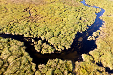 Aerial view to wild nature of Delta Okavango in Botswana.