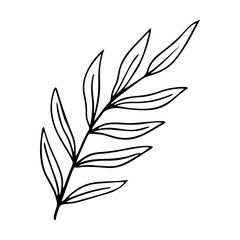 palm leaf stylized vector illustration.