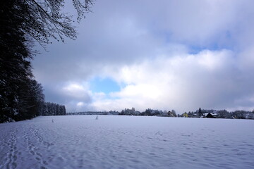 winter landscape and trees covered with snow