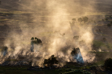 Aerial view to wild nature of Delta Okavango in Botswana.