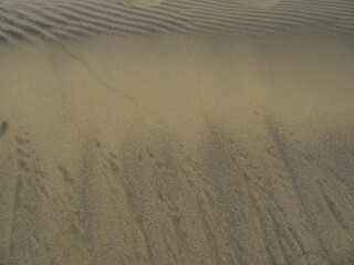 Beautiful wind traces on the dunes of Maspalomas beach. South of Gran Canaria Island. Spain.