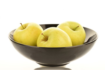 Three juicy yellow apples in a black bowl, close-up, on a white background.