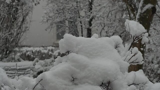 Winterzeit - Schneeflocken fallen vom Himmel
