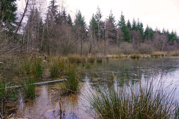 Ein kleiner Teich in der Nähe von Duingen in Niedersachsen im Winter