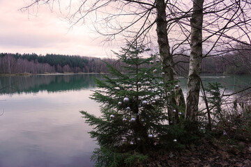 Ein mit Kugeln geschmückter Baum am Ufer vom Bruchsee in Duingen 