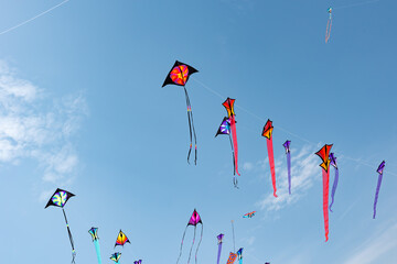 Fototapeta na wymiar Kites with blue sky and white clouds