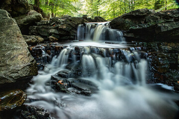 Brack Venn - Bachlauf