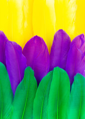 Mardi Gras color feathers background. Party invitation Place for your text. Shrove Tuesday, Fat Tuesday © Татьяна Креминская