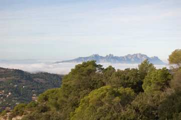 Fototapeta na wymiar Panorama of the forests and mountains of La Mola, in Catalonia, in the province of Barcelona (Spain). Next to Montserrat. View of Montserrat. Catalonia, El Vallès 