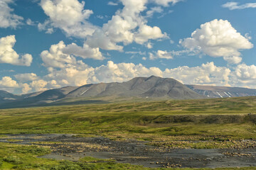 Fototapeta na wymiar Tundra in the Polar Urals.