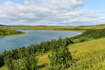Fototapeta na wymiar Tundra in the Polar Urals.