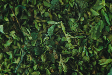 macro detail of chopped mountain oregano