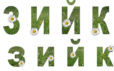 Collage: set of uppercase and lowercase letters of the Russian alphabet from grass and flowers on a white background. It's not a word, just letters z, i, ji, k. There is no translation