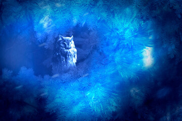 Sleeping owl in fantasy enchanted fairy tale spruce forest