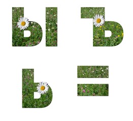 Collage: set of uppercase and lowercase letters of the Russian alphabet from grass and flowers on a white background. It is not a word, the letter s is soft and hard signs. There is no translation