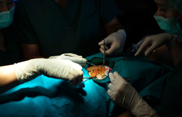 Doctors and nurses are using tools to perform surgical procedures on patients in the operating...