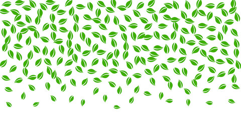 Falling green leaves. Fresh tea random leaves flying. Spring foliage dancing on white background. Appealing summer overlay template. Artistic spring sale vector illustration.