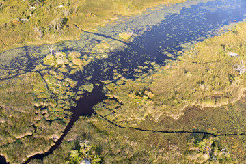 Aerial view to wild nature of Delta Okavango in Botswana.