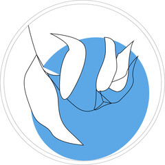 botany vector illustration, floristics, patterns, herbal patterns, cards, postcard, prints for packaging, wreaths, decor for printing on a jar for cosmetics, decor for print, print for poster, picture