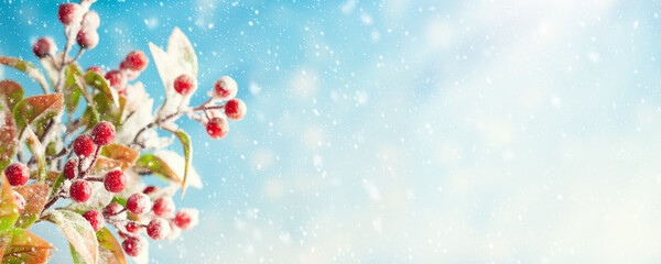 Fototapeta na wymiar Christmas or winter background with snowy red berry branches. Nature landscape with copy space
