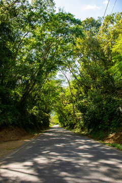 carretera, bosque, &aacute;rbol, naturaleza, &aacute;rbol, verde, paisaje, camino, aparcar, asfaltar, viajando, campesina, verano, c&eacute;sped, primavera, madera, campestre, cielo, carril, camino, autopista, madera