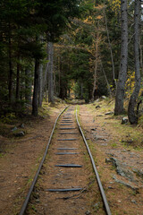 Fototapeta premium binario 9 3/4