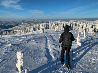Winter im Schwarzwald am Herzogenhorn