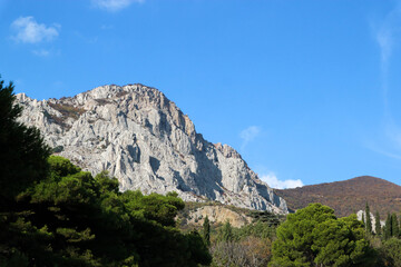 Fototapeta na wymiar Landscape with pine tree forest, mountains and blue sky